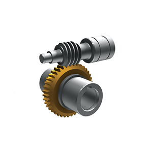 Worm Gear Coupling